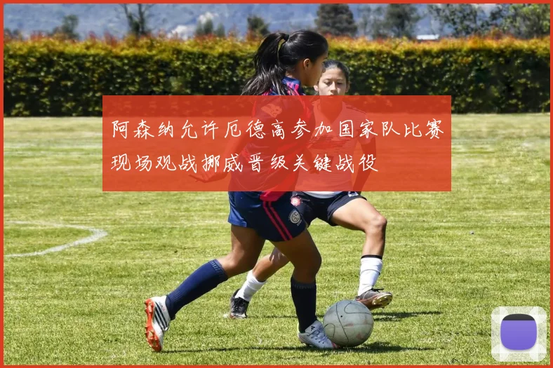 阿森纳允许厄德高参加国家队比赛现场观战挪威晋级关键战役