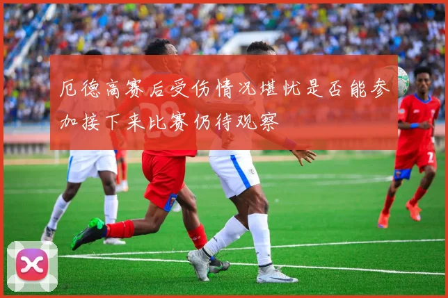 厄德高赛后受伤情况堪忧是否能参加接下来比赛仍待观察