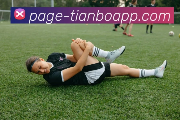 天博体育APP 封面图